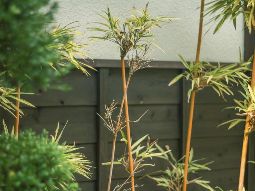 Ryokan Hikarinoie Yufu Eksteriør billede